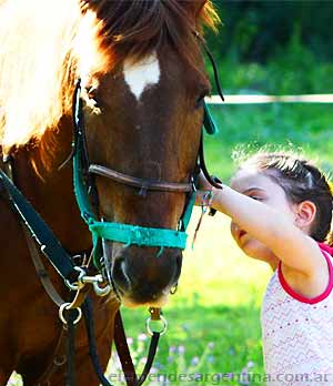 Da Nacional del Caballo