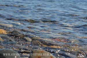 El 29 de Octubre Es el segundo lago en tamao de Latinoamrica, despus del Titicaca, y tiene su da festivo el 29 de Octubre. De sus 2250 kilmetros cuadrados, tiene unos 800 del lado argentino, y del otro lado de la cordillera toma el nombre de Lago General Carreras.