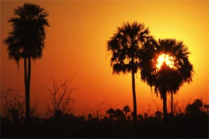 Se crea el parque nacional Chaco