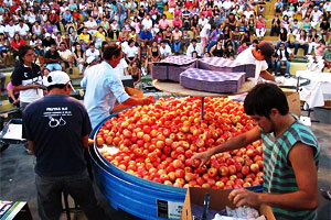 Fiesta nacional de la manzana